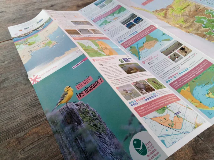 Aperçu du recto de la carte dépliée