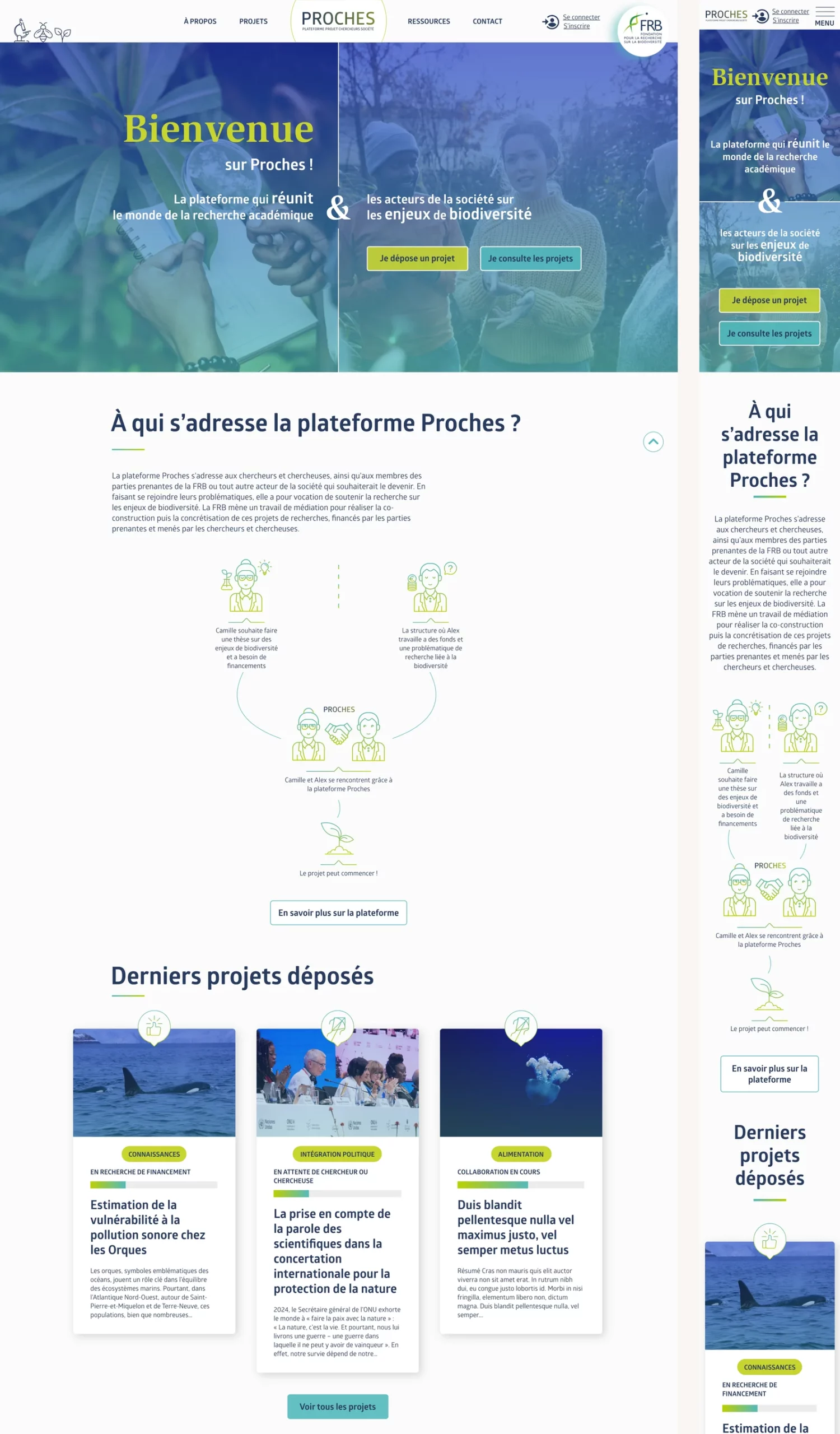 Page d'accueil de la plateforme web PROCHES