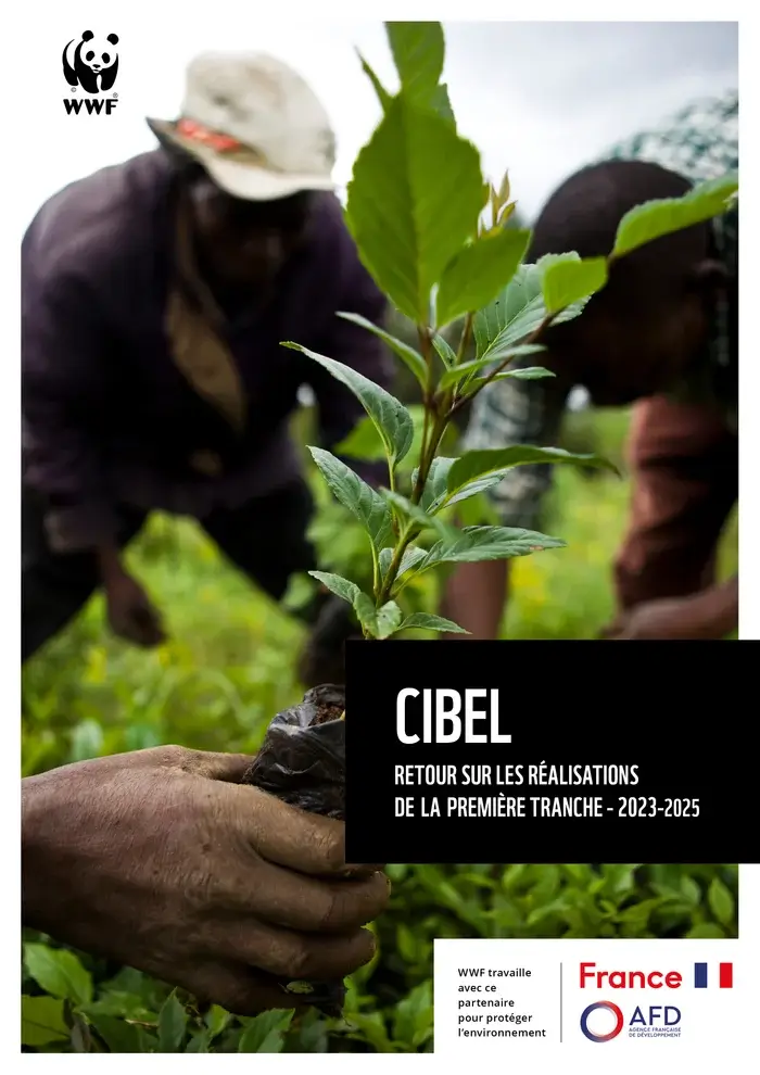 Couverture de la chemise regroupant les fiches du programme CIBEL