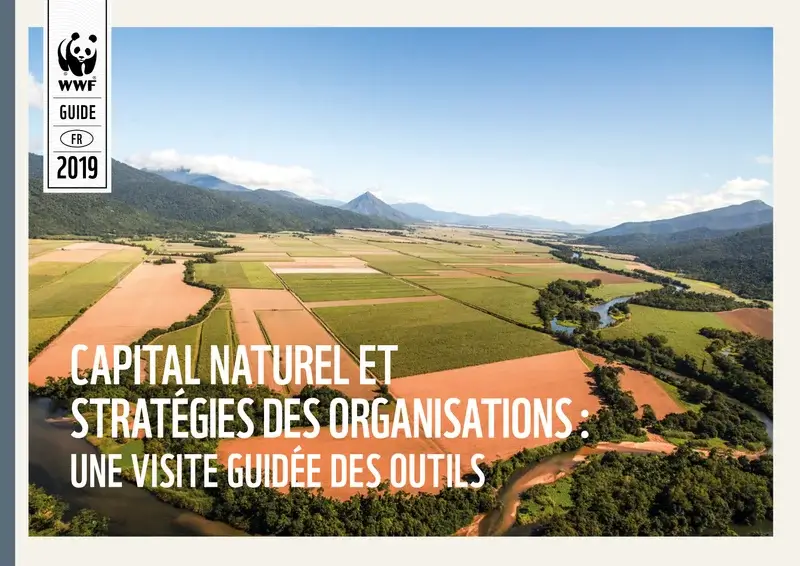 Couverture du guide Capital naturel et stratégie des organisations : une visite guidée des outils