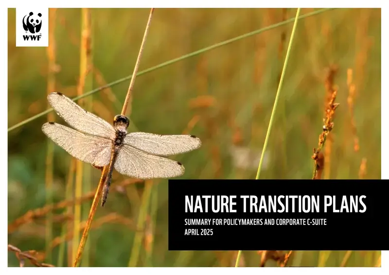 Couverture de la synthèse version anglaise : Nature transition plans